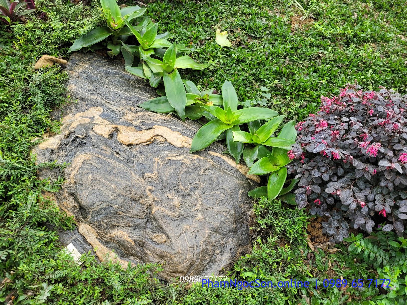 Vườn là phải đẹp