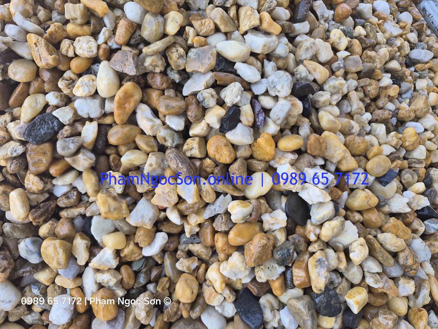 Kích thước sỏi vàng