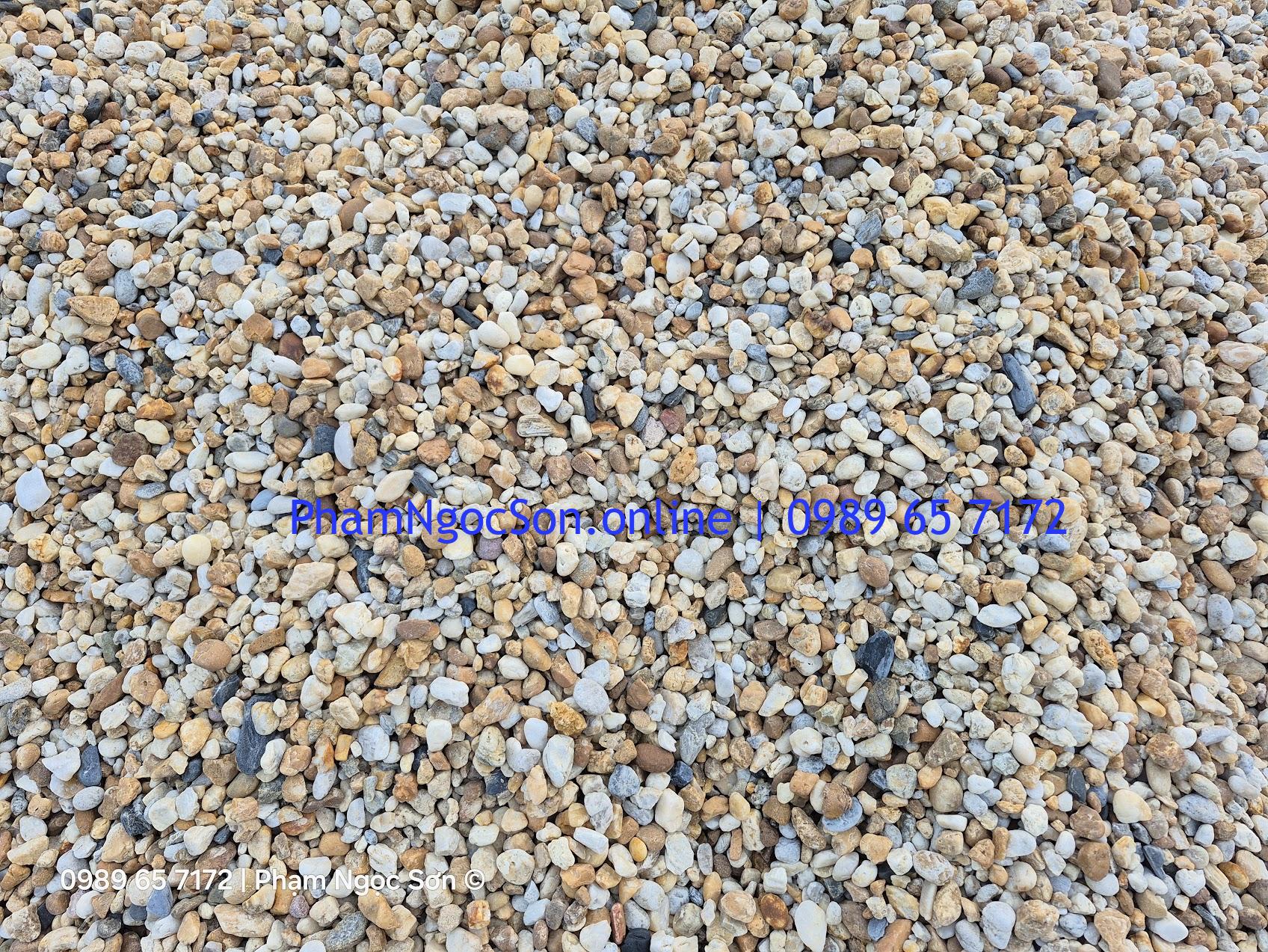 Sỏi cuội vàng xô