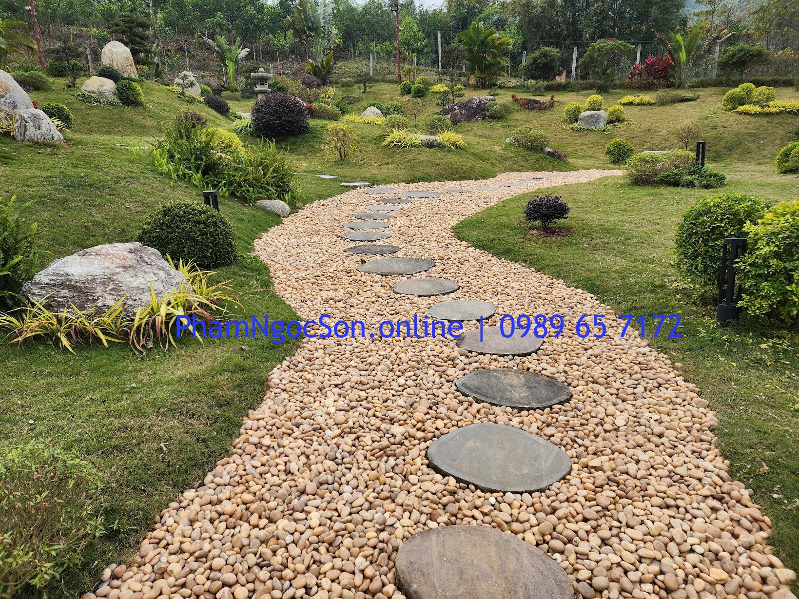 Sỏi vàng tự nhiên