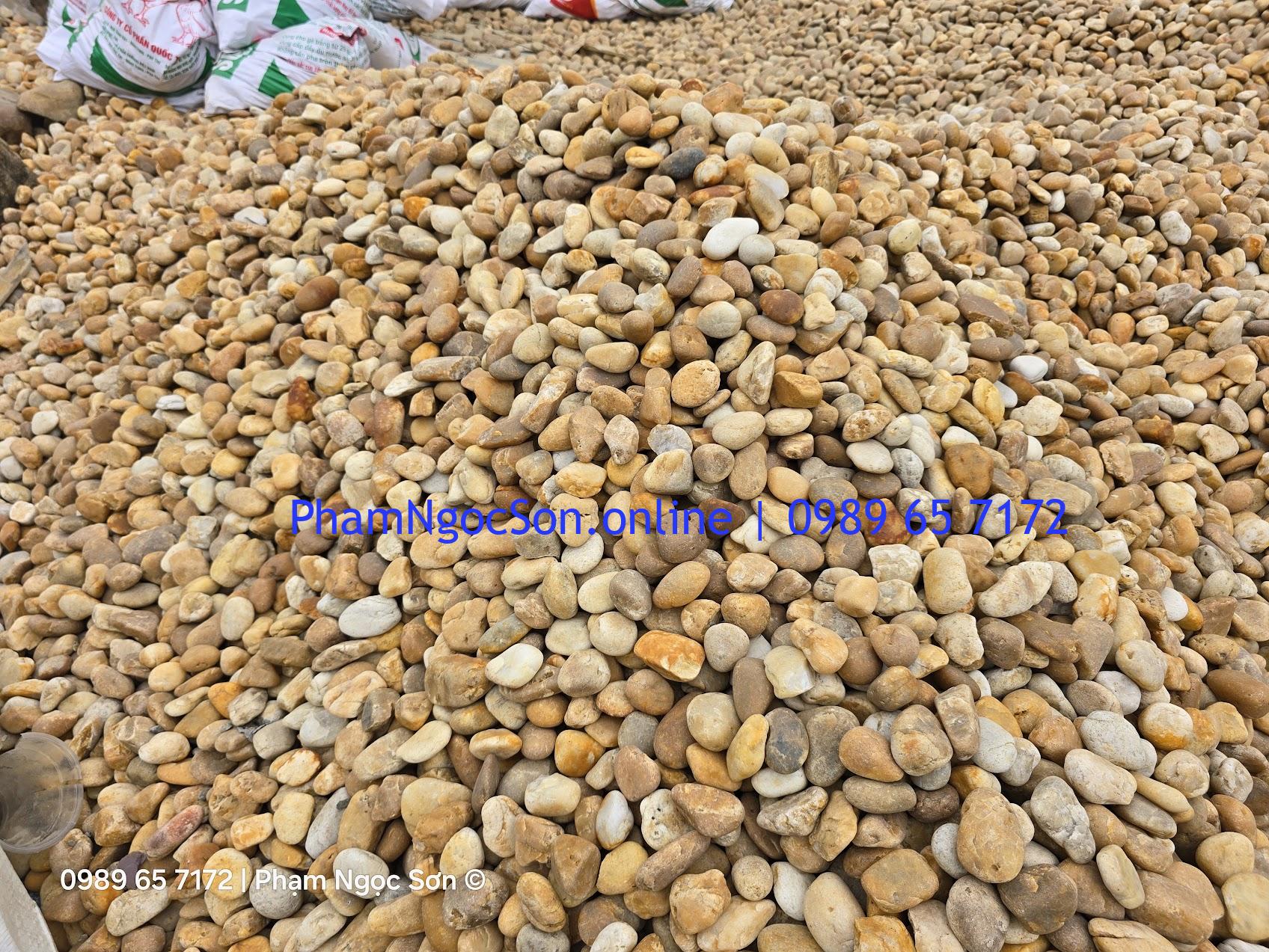 mua sỏi cuội vàng